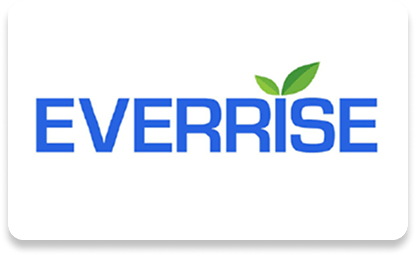 EVERISE logo: bold blue letters with a green leaf over the "I" on white background, symbolizing growth and sustainability.